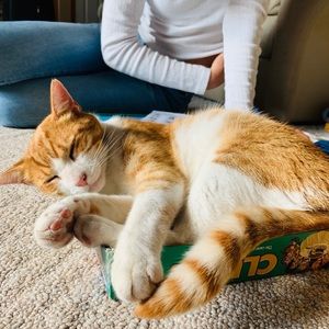 Meet your Posher, Heidi